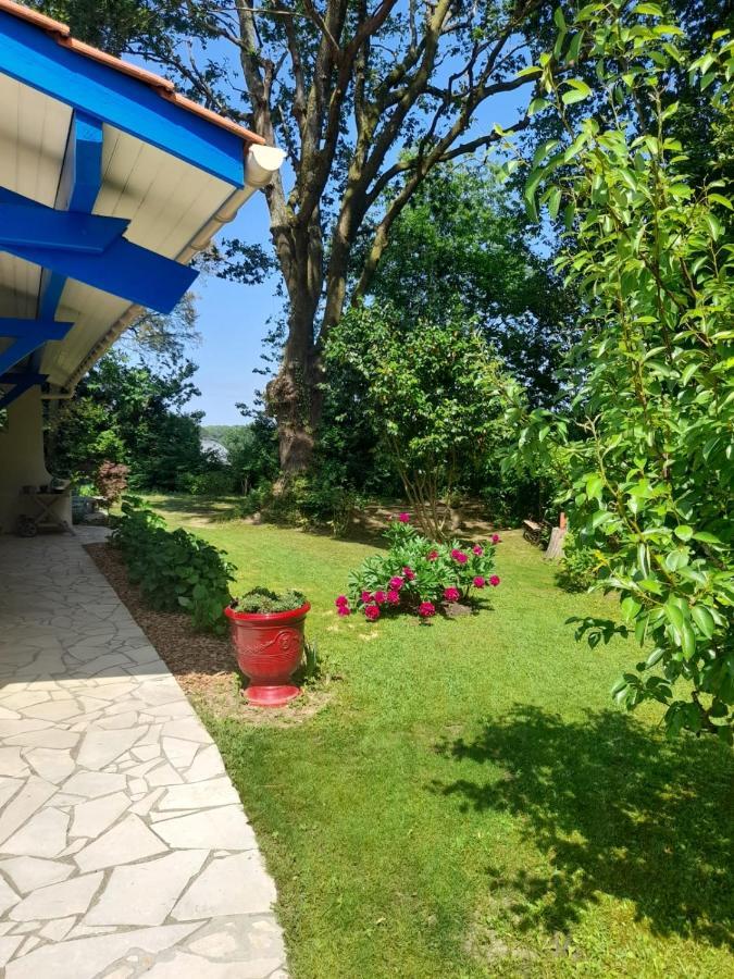 לינה וארוחת בוקר Saint-Martin-de-Seignanx La Clairiere Du Seignanx מראה חיצוני תמונה
