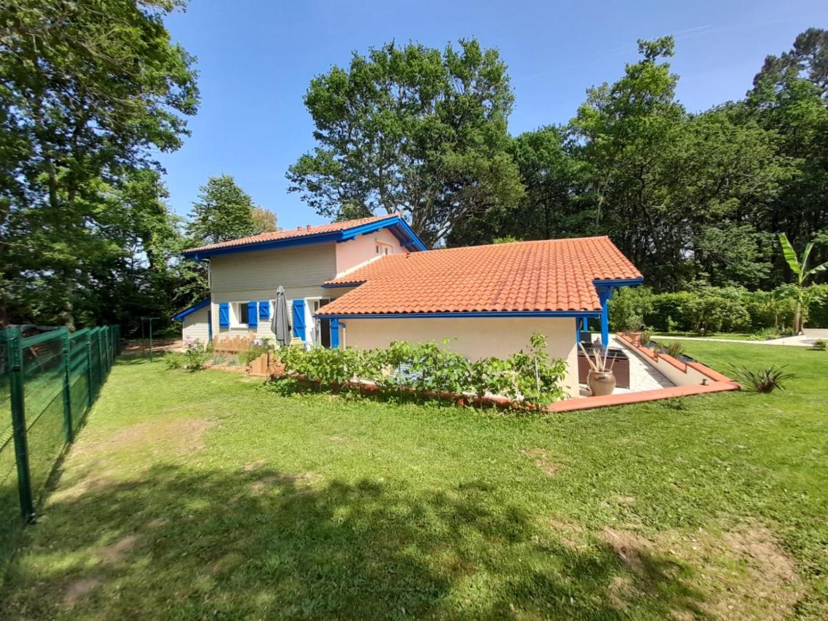 לינה וארוחת בוקר Saint-Martin-de-Seignanx La Clairiere Du Seignanx מראה חיצוני תמונה