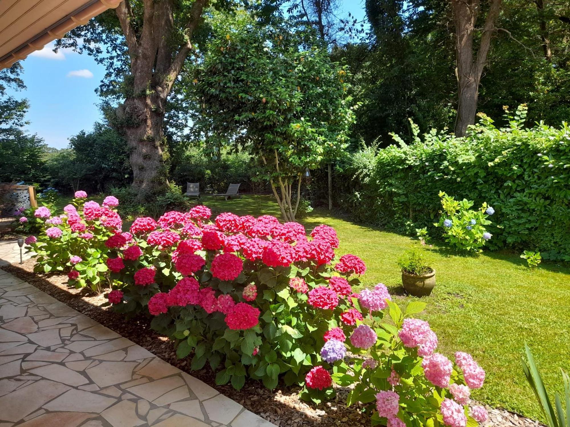 לינה וארוחת בוקר Saint-Martin-de-Seignanx La Clairiere Du Seignanx מראה חיצוני תמונה